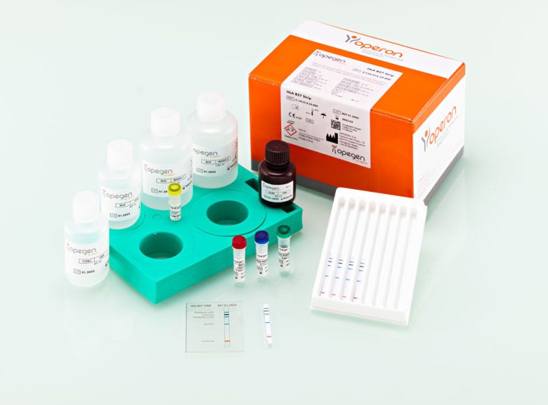 Molecular test for the determination of the HLA-B27 alelles