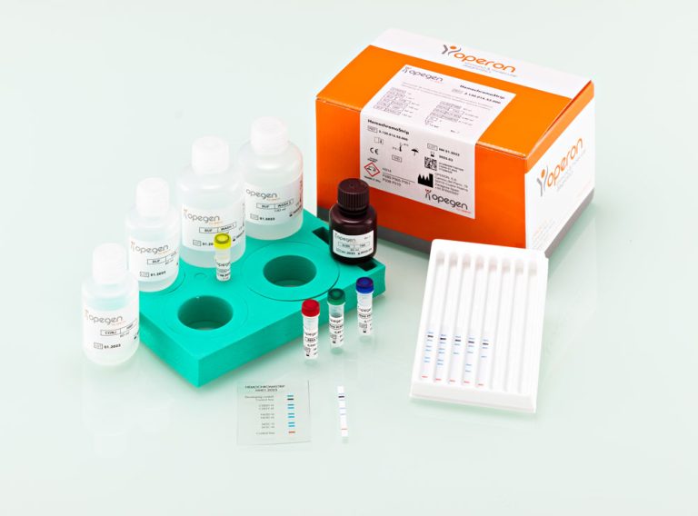 Molecular test for the genotyping of point mutations associated with hemochromatosis