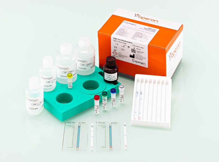 Molecular test for the detection and genotyping of High and Low HPV