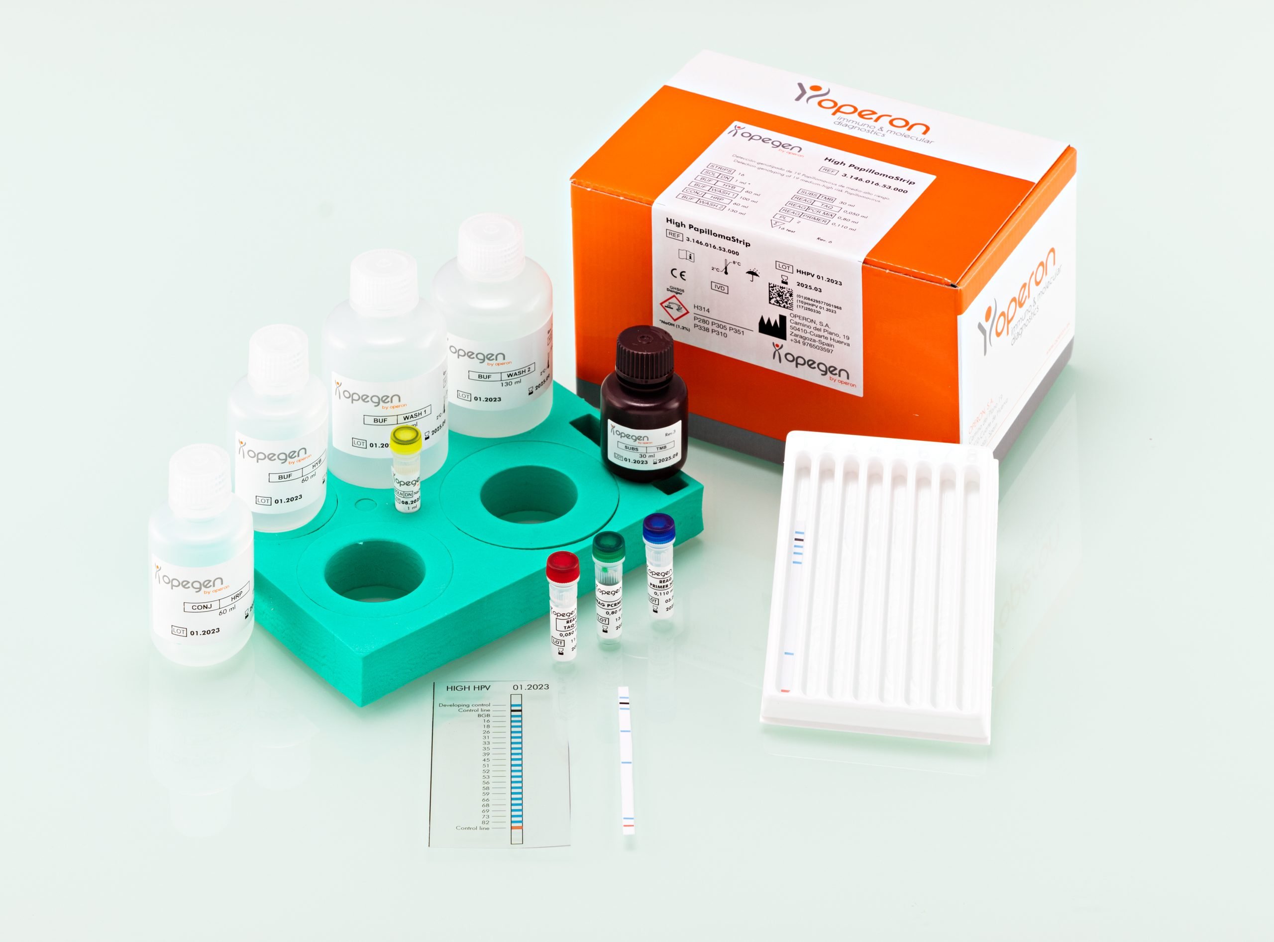 Molecular test for the detection and genotyping of HPV
