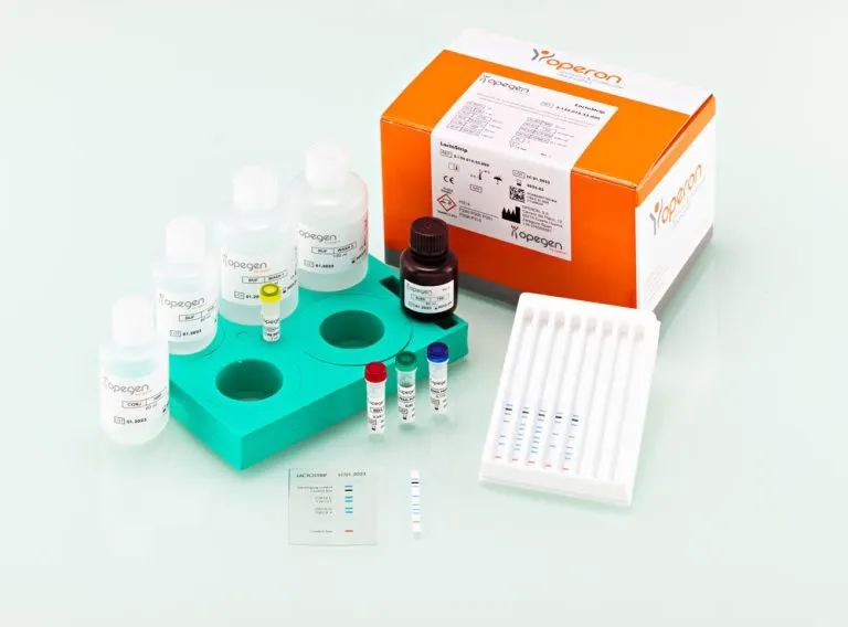 Molecular test for the genotyping of polymorphisms associated with lactase persistence