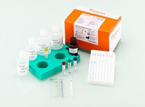 Molecular tests for the detection of 14 bacteria associated with respiratory tract infections