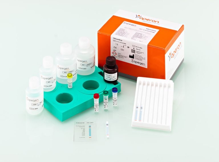 Molecular test for the detection of microdeletions in the azoospermia factor
