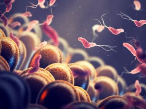 H-pylori-infection