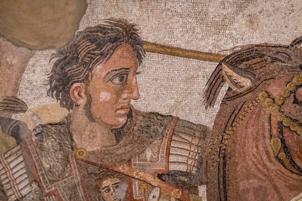 alexander-the-great-campylobacter